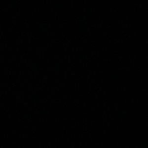 Meet your Posher, Walter